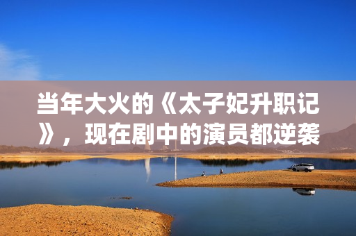 当年大火的《太子妃升职记》，现在剧中的演员都逆袭成功了(歌曲太初)