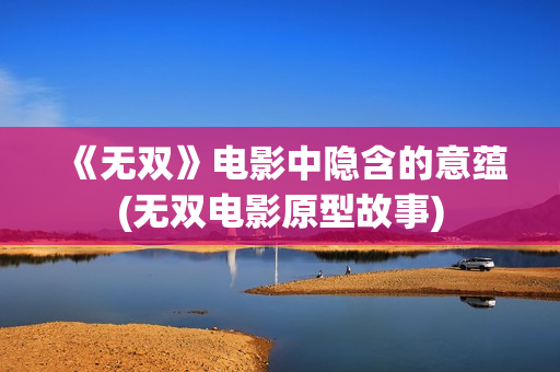 《无双》电影中隐含的意蕴(无双电影原型故事)