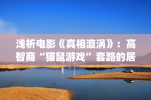 浅析电影《真相漩涡》：高智商“猫鼠游戏”套路的居心叵测，精妙(真相电影简介)