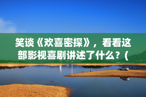 笑谈《欢喜密探》，看看这部影视喜剧讲述了什么？(欢喜密探 小说)