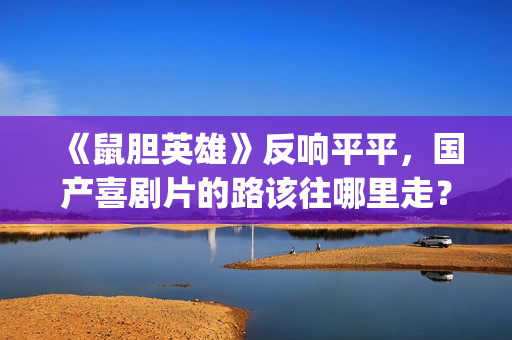 《鼠胆英雄》反响平平，国产喜剧片的路该往哪里走？(鼠胆英雄那个镜头是真的吗)