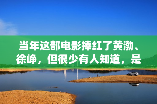 当年这部电影捧红了黄渤、徐峥，但很少有人知道，是刘德华投资的(这部电影是几几年拍的)