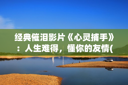 经典催泪影片《心灵捕手》：人生难得，懂你的友情(经典电影催泪片段)