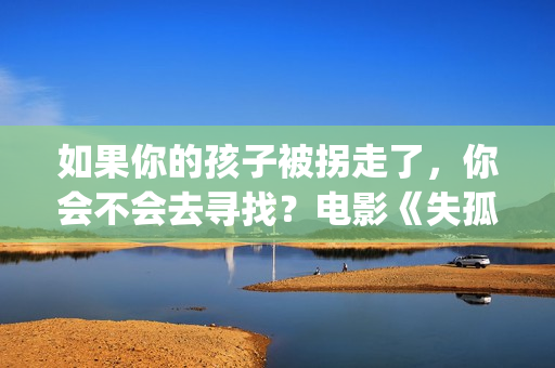 如果你的孩子被拐走了，你会不会去寻找？电影《失孤》解析评价(如果你的孩子被欺负了,家长会怎么办)