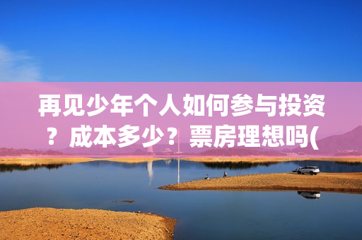 再见少年个人如何参与投资？成本多少？票房理想吗(再见少年歌)