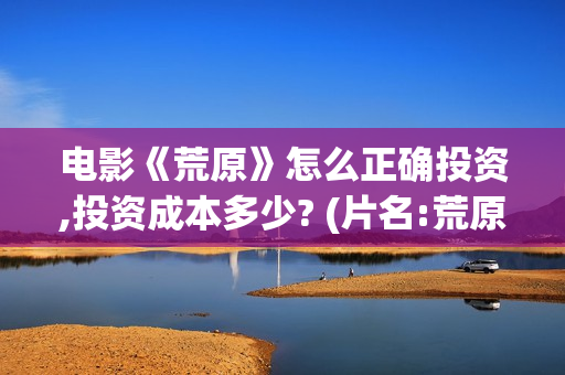 电影《荒原》怎么正确投资,投资成本多少? (片名:荒原)