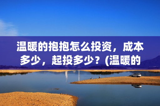 温暖的抱抱怎么投资，成本多少，起投多少？(温暖的抱抱怎么看不了)