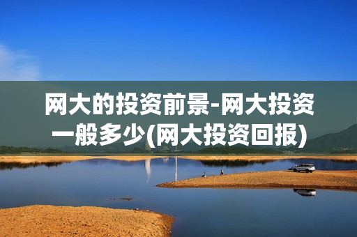 网大的投资前景-网大投资一般多少(网大投资回报)