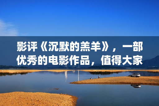 影评《沉默的羔羊》，一部优秀的电影作品，值得大家去观看！(沉默的电影片段)