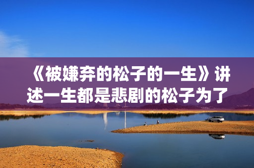 《被嫌弃的松子的一生》讲述一生都是悲剧的松子为了得到爱，一生都是取悦别人(被嫌弃的松子的一生小说免费阅读)