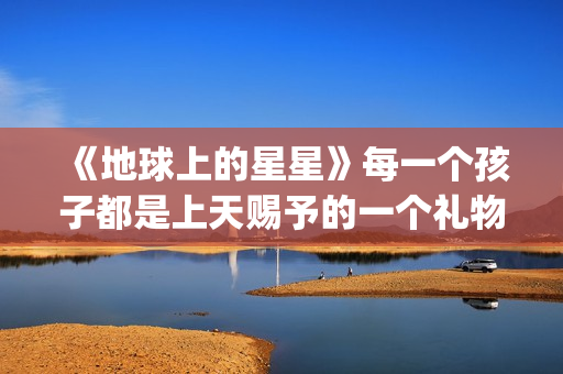 《地球上的星星》每一个孩子都是上天赐予的一个礼物(地球上的星星(国语版))