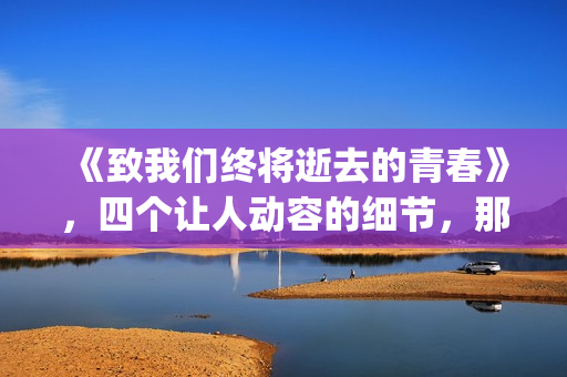 《致我们终将逝去的青春》，四个让人动容的细节，那是你的青春吗(致我们终将逝去的青春 辛夷坞)
