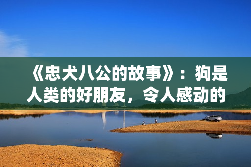 《忠犬八公的故事》：狗是人类的好朋友，令人感动的真实故事(忠犬八公的故事电影免费观看完整版)