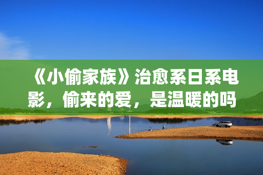 《小偷家族》治愈系日系电影，偷来的爱，是温暖的吗？(小偷家族121min)