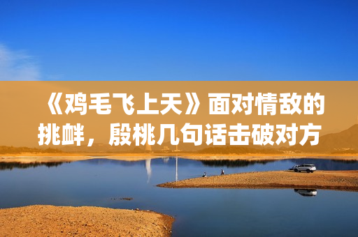 《鸡毛飞上天》面对情敌的挑衅，殷桃几句话击破对方(《鸡毛飞上天》电视剧)