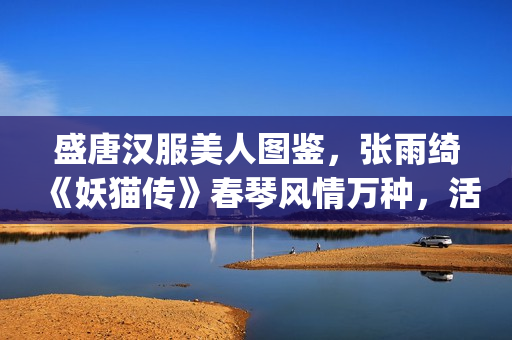 盛唐汉服美人图鉴，张雨绮《妖猫传》春琴风情万种，活色生香(盛唐服饰女)