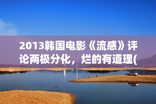 2013韩国电影《流感》评论两极分化，烂的有道理(电影韩国2010)