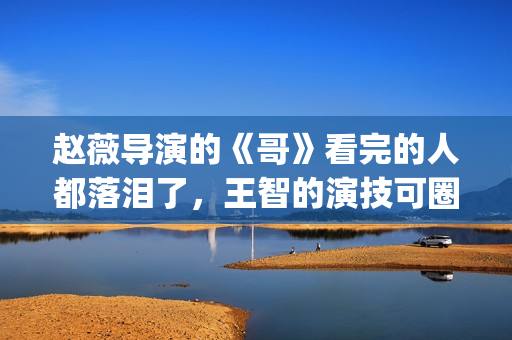 赵薇导演的《哥》看完的人都落泪了，王智的演技可圈可点！(哥赵薇作品)