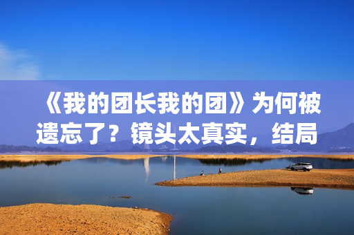 《我的团长我的团》为何被遗忘了？镜头太真实，结局太虐心(我的团长我的团免费完整版在线观看)