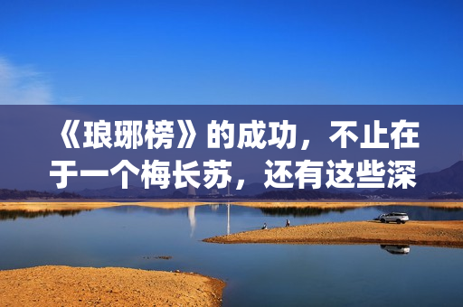 《琅琊榜》的成功，不止在于一个梅长苏，还有这些深入人心的角色(琅琊榜的成就)