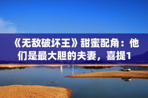 《无敌破坏王》甜蜜配角：他们是最大胆的夫妻，喜提15位家庭成员(无敌破坏王中文版免费版观看)