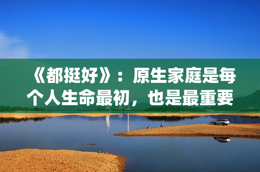 《都挺好》：原生家庭是每个人生命最初，也是最重要的关系。(都挺好原著苏明成在监狱经历了什么)