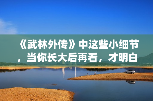 《武林外传》中这些小细节，当你长大后再看，才明白社会的险恶！(武林外传中郭巨侠在家排名老几)