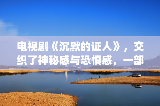 电视剧《沉默的证人》，交织了神秘感与恐惧感，一部经典的刑侦剧(电视剧《沉默的荣耀》)