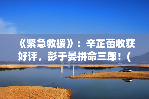 《紧急救援》：辛芷蕾收获好评，彭于晏拼命三郎！(紧急救援第八季)