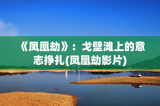《凤凰劫》：戈壁滩上的意志挣扎(凤凰劫影片)