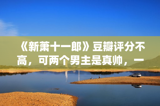 《新萧十一郎》豆瓣评分不高，可两个男主是真帅，一个比一个养眼(新萧十一郎免费观看完整版)