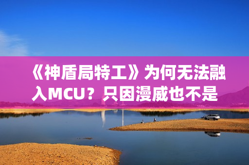 《神盾局特工》为何无法融入MCU？只因漫威也不是铁板一块(神盾局特工沃德为什么黑化)