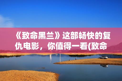 《致命黑兰》这部畅快的复仇电影,你值得一看(致命黑兰原版) 《致命黑兰》这部畅快的复仇电影,你值得一看(致命黑兰原版)