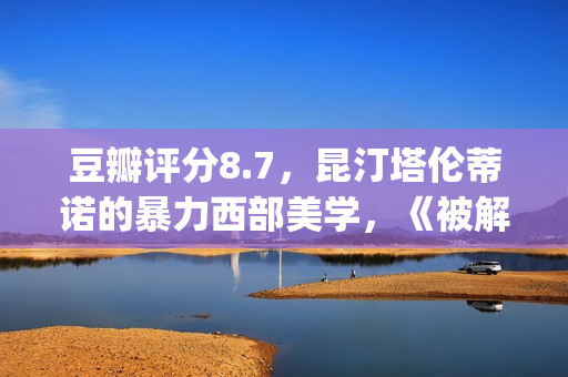 豆瓣评分8.7，昆汀塔伦蒂诺的暴力西部美学，《被解救的姜戈》(k豆瓣评分)