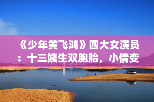《少年黄飞鸿》四大女演员:十三姨生双胞胎,小倩变美,最红是她(少年黄飞鸿演员表全部) 《少年黄飞鸿》四大女演员:十三姨生双胞胎,小倩变美,最红是她(少年黄飞鸿演员表全部)
