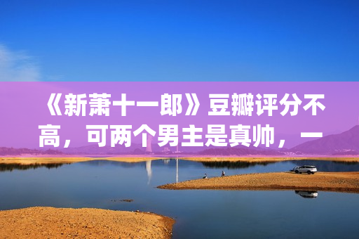 《新萧十一郎》豆瓣评分不高，可两个男主是真帅，一个比一个养眼(新萧十一郎连城璧)