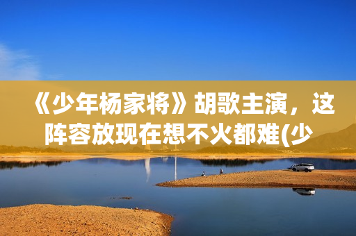 《少年杨家将》胡歌主演，这阵容放现在想不火都难(少年杨家将 电视剧)