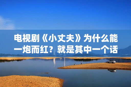 电视剧《小丈夫》为什么能一炮而红？就是其中一个话题，姐弟恋(电视剧《小丈夫》免费播放)