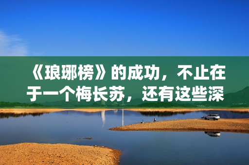《琅琊榜》的成功，不止在于一个梅长苏，还有这些深入人心的角色(《琅琊榜》的成毅是谁)