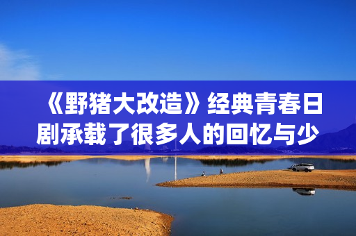 《野猪大改造》经典青春日剧承载了很多人的回忆与少女心(野猪大改造百度云) 《野猪大改造》经典青春日剧承载了很多人的回忆与少女心(野猪大改造百度云)