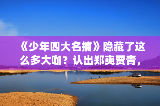 《少年四大名捕》隐藏了这么多大咖？认出郑爽贾青，却没认出她！(少年四大名捕TVB)