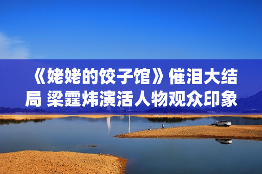 《姥姥的饺子馆》催泪大结局 梁霆炜演活人物观众印象深刻(姥姥的饺子馆1-40合集)
