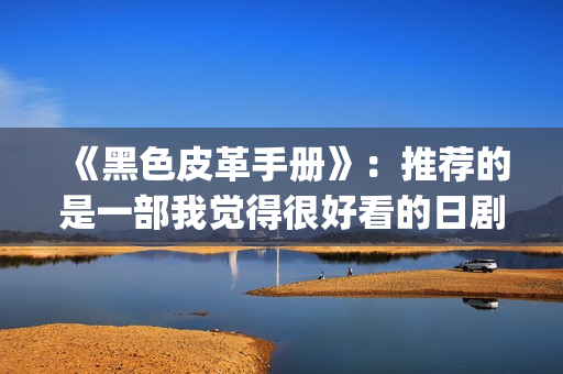 《黑色皮革手册》：推荐的是一部我觉得很好看的日剧(黑色皮革手册在线播放)
