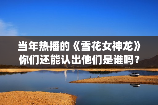当年热播的《雪花女神龙》你们还能认出他们是谁吗？(雪 演员)