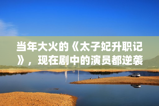 当年大火的《太子妃升职记》，现在剧中的演员都逆袭成功了(太一火的歌)