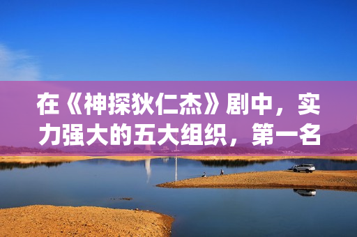 在《神探狄仁杰》剧中，实力强大的五大组织，第一名险些推翻朝廷(神探狄仁杰仵作)