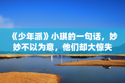 《少年派》小琪的一句话，妙妙不以为意，他们却大惊失色！(少年派小琪为什么换人)