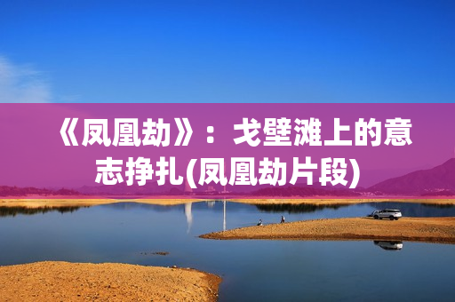 《凤凰劫》：戈壁滩上的意志挣扎(凤凰劫片段)