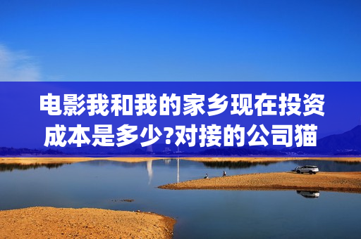 电影我和我的家乡现在投资成本是多少?对接的公司猫眼上查不到怎么办(电影我和我的家乡取景地)