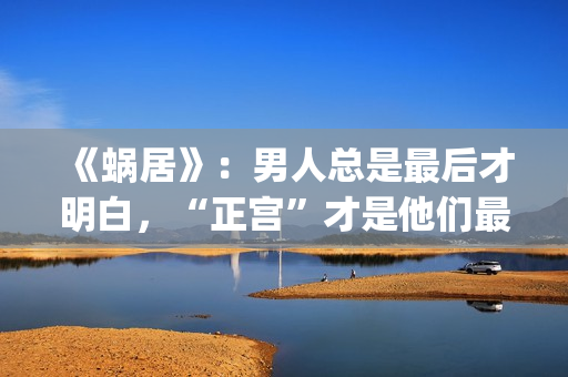 《蜗居》：男人总是最后才明白，“正宫”才是他们最坚定的同盟(电视剧蜗居的男主角)